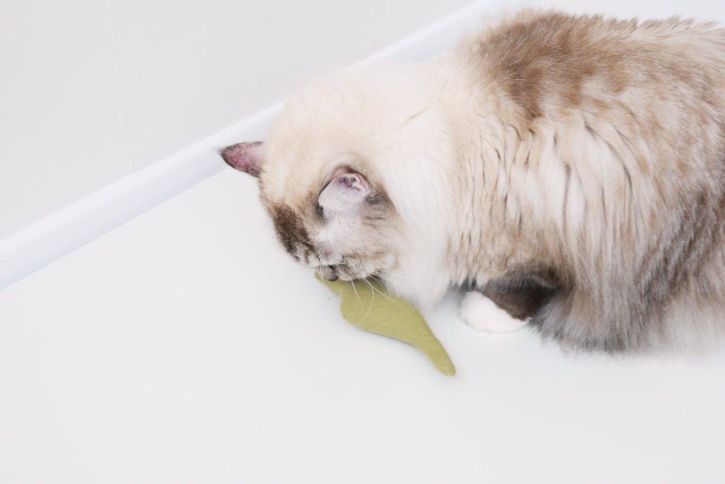 Boa Snake catnip cat toy