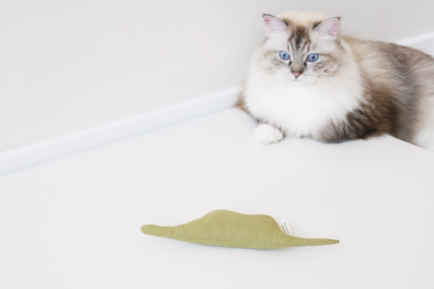 Boa Snake catnip cat toy