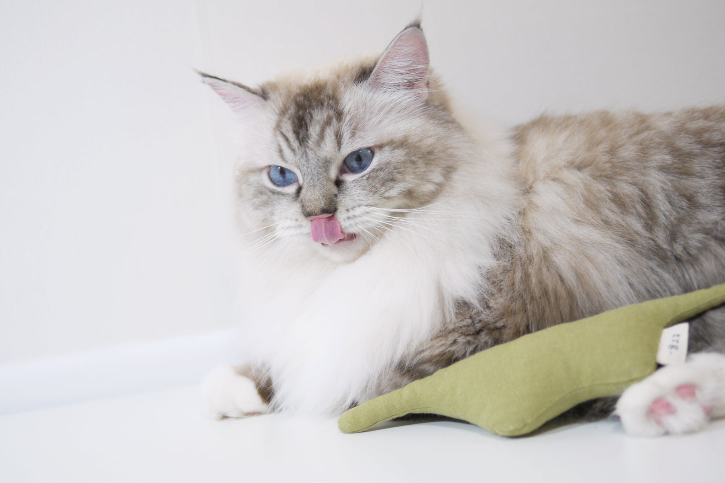 Boa Snake catnip cat toy