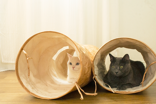TYVEK CAT TUNNEL